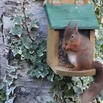 Hayeswater * Keswick (Cumbria)