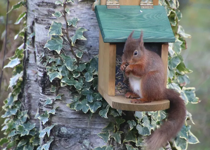 Hayeswater * 凯西克